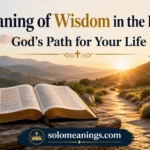  Meaning of Wisdom in the Bible: God’s Path