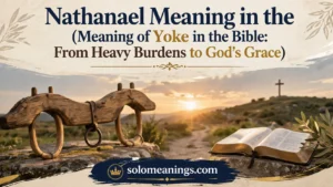  Meaning of Yoke in the Bible: Burden, Bond, and Grace