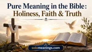 Pure Meaning in the Bible: Holiness, Faith & Truth