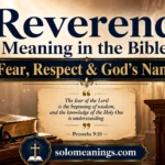 Reverend Meaning in the Bible: Fear, Respect & God’s Name