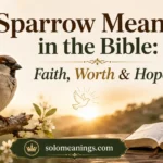 Sparrow Meaning in the Bible: Faith, Worth & Hope