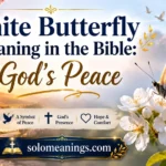 White Butterfly Meaning in the Bible: God’s Peace