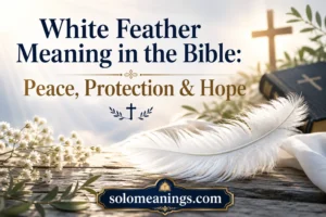 White Feather Meaning in the Bible: Peace, Protection & Hope