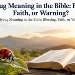 Ladybug Meaning in the Bible