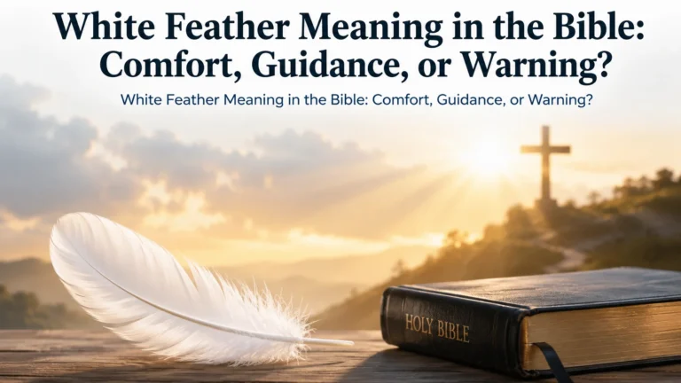 White Feather Meaning in the Bible
