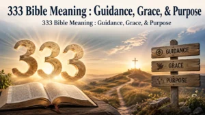 333 Bible Meaning : Guidance, Grace, & Purpose