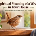 Spiritual Meaning of a Wren in Your House The current image has no alternative text. The file name is: spiritual-meaning-of-a-wren-in-your-house.webp Replace Remove