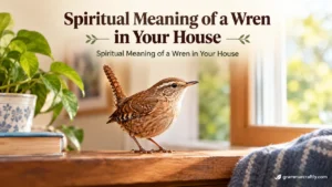 Spiritual Meaning of a Wren in Your House The current image has no alternative text. The file name is: spiritual-meaning-of-a-wren-in-your-house.webp Replace Remove