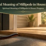 Spiritual Meaning of Millipede in House: Progress