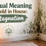 Spiritual Meaning of Mold in House: Stagnation
